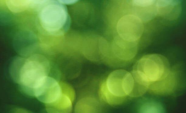 Green Environmental Nature Blurred Tree Leaf Bokeh Lights Background